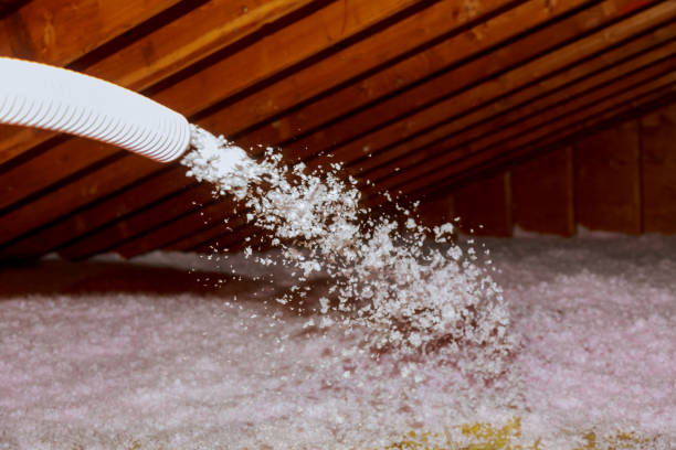Best Insulation Maintenance and Repair in Florence, MS