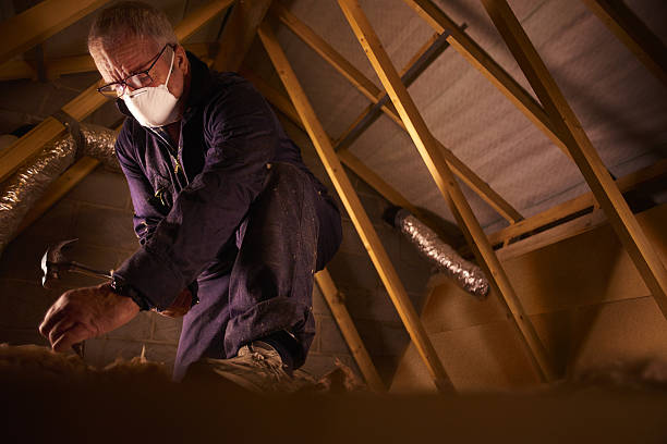 Best DIY Insulation Kits and Guidance in Florence, MS